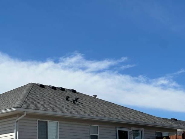Professional Roofing in Sebring, OH